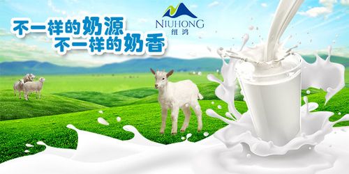 纽鸿图片集锦|平面|宣传物料|小天使1号 - 原创作品