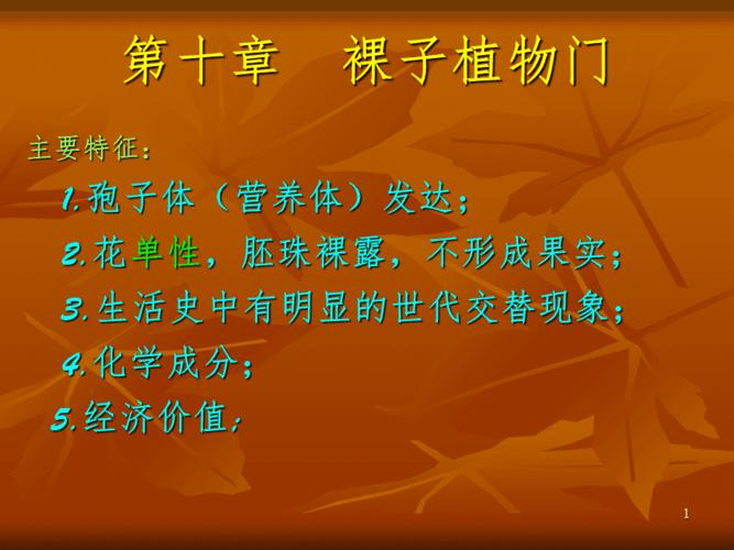 裸子植物门秋ppt课件