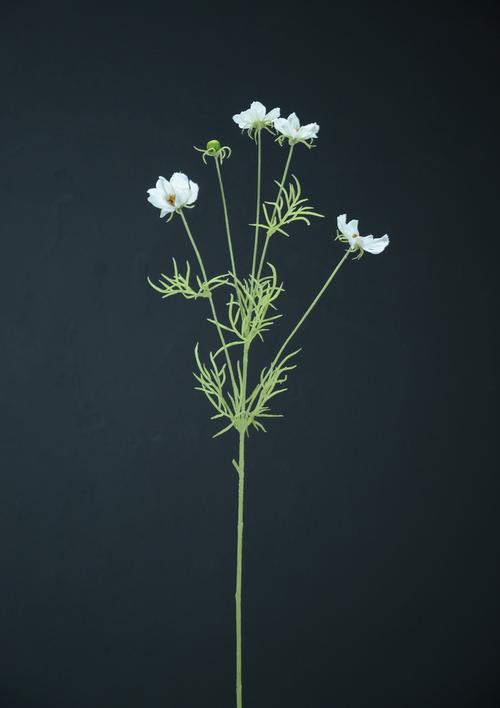 白色波斯菊 仿真 花小菊花小清新美式田园客厅家居装饰花餐桌花