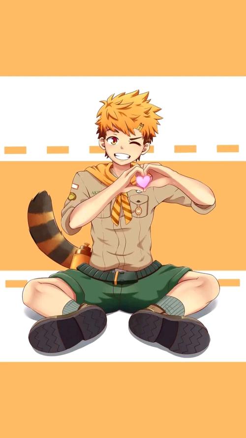 campbuddy, fullservice