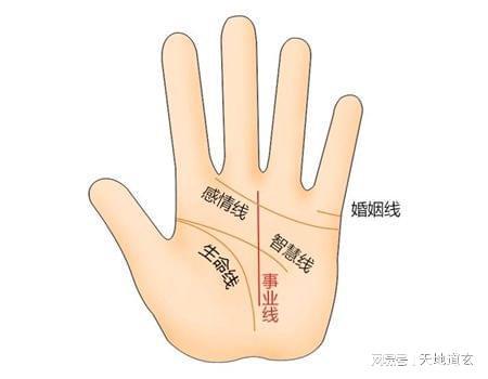 怎么看手相事业线图解女
