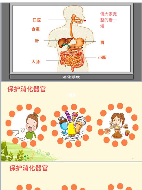幼儿园|大班健康|《食物旅行记》_幼儿园_旅行_ppt_幼儿园公开课_教育