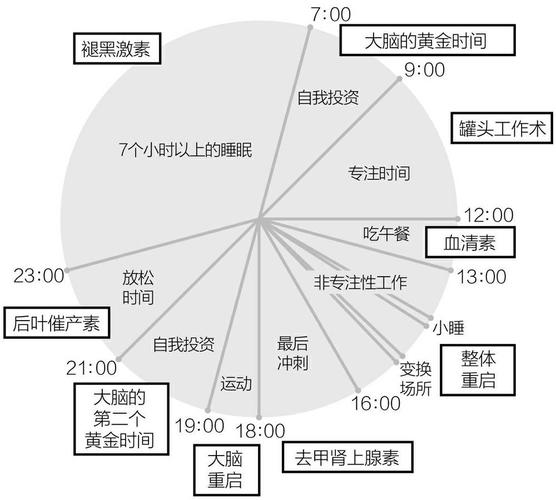 作者提出的一天时间安排
