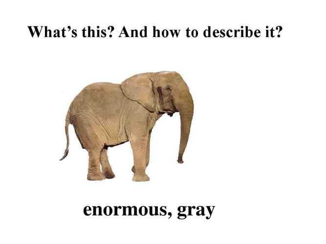 enormous, gray