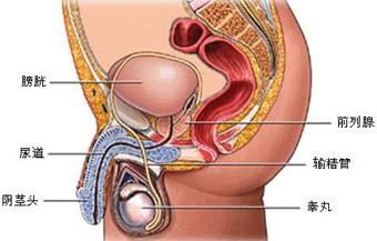 前列腺肥大服药会引起低血压,起床要记住"3个一分钟"