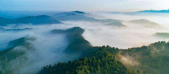 龙泉山森林公园