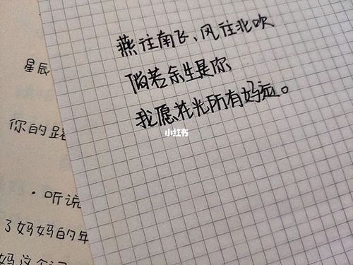 一个人的成长_伤感_花光_伤感句子_素材_文字素材