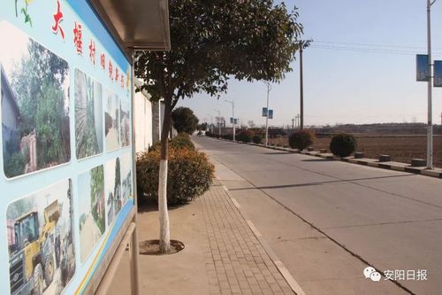白墙绿景文化墙村庄推进五化打造安阳美丽乡村