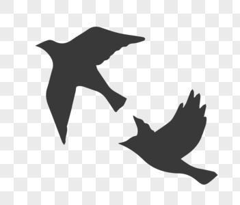 制作鸽子素材图片