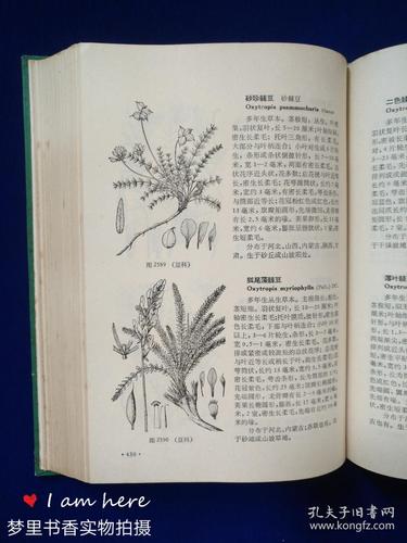 中国高等植物图鉴(第二册)馆藏