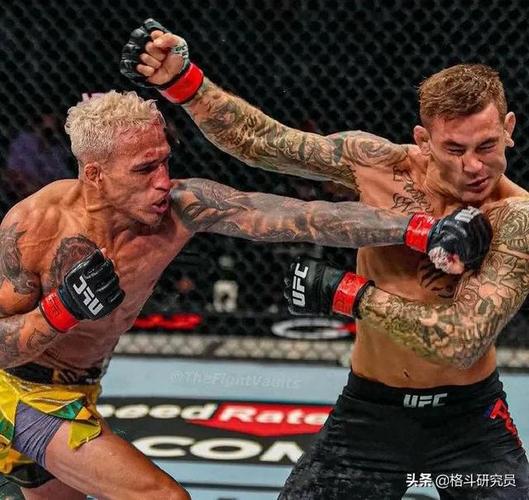 「赛前预测」ufc269:钻石大战奥利维拉,花脖哥的蝇量级首秀