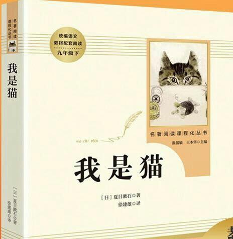 主要内容