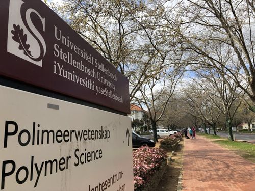 斯泰伦博斯大学