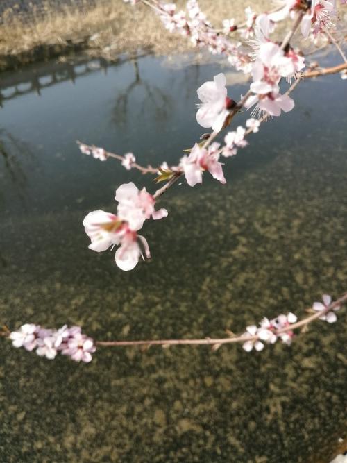 感觉雾霾好久不见了.