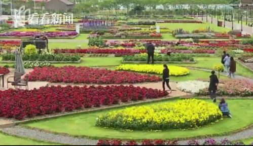 崇明:承接花博溢出效应 全域旅游迎新机遇