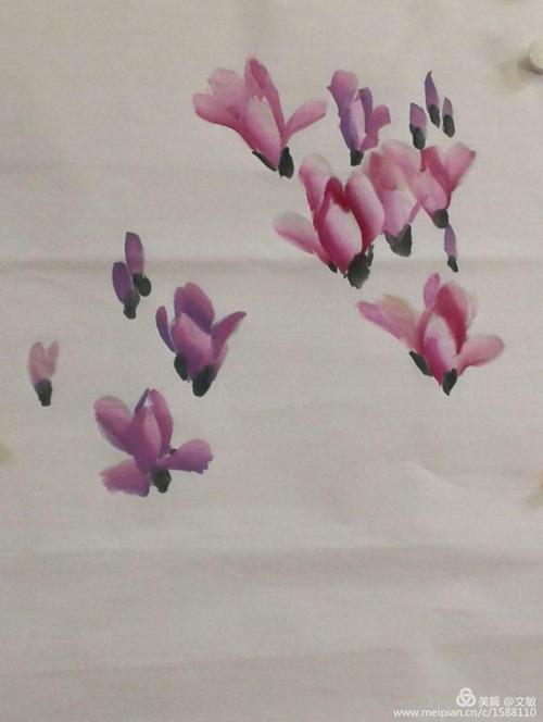 耿老师小写意花鸟中级二:6,辛夷和垂丝海棠的画法
