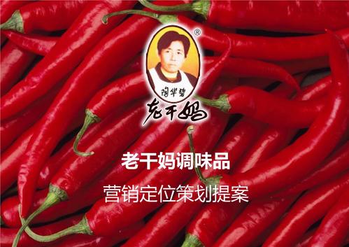 老干妈营销定位策划提案111ppt51页