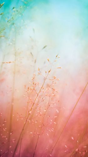 夏普aquos zeta系列手机壁纸贴图