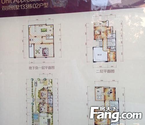 碧桂园十里银滩别墅户型图