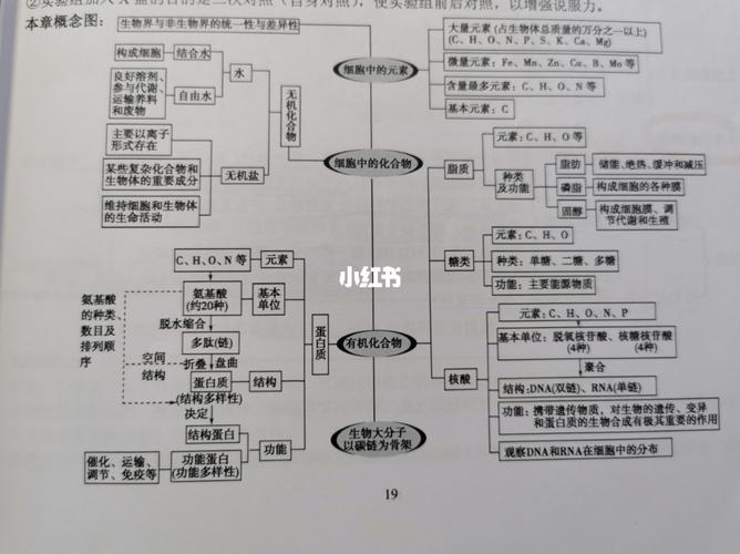高中生物必修一 思维导图/概念图_思维导图_高考_学习