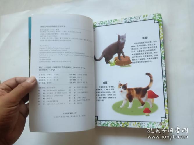 猫武士五部曲族群黎明2:雷电崛起