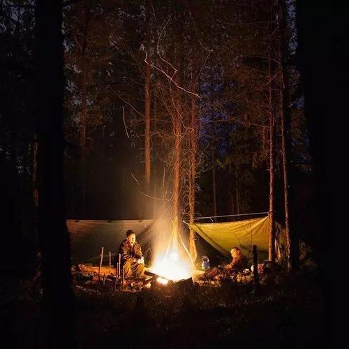 野外生存快速的生火方法,大神看了也羡慕