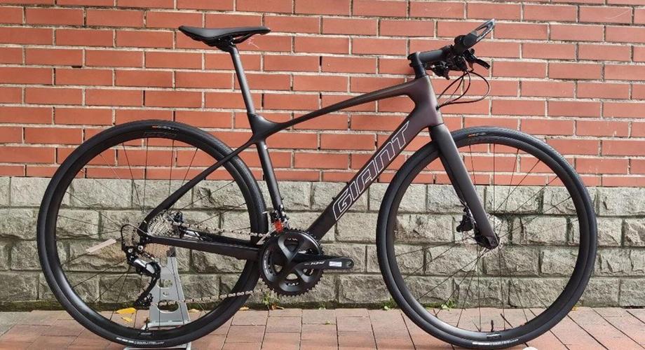 fastroad adv 1 asia(2021款)-广东捷安特