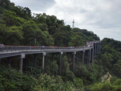 远看环绕金鸡山架空栈道