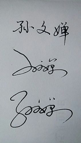 孙文婵艺术签名怎么写