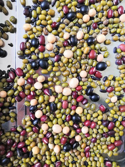 小豆子,用处多——豆子粘贴画