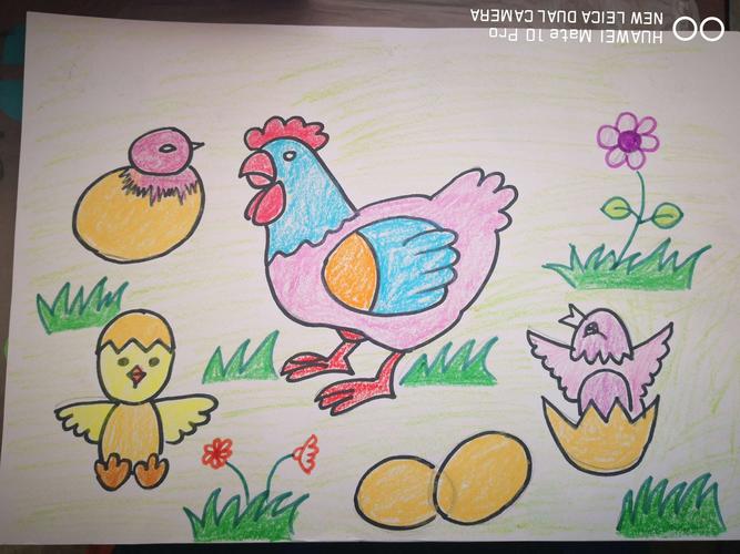 自由大胆地用绘画方式完成一件表现小动物破壳而出时的作品