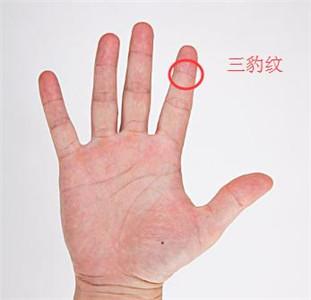 食指的根部为木星丘,此处要丰满有肉且明润不干燥,那么此人的财运便