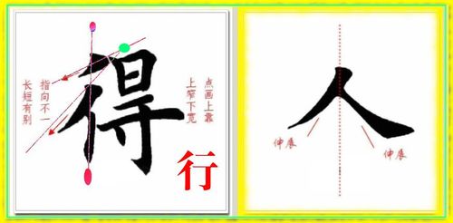 偏旁经验17|双人旁汉字楷书结构分析与书写案例