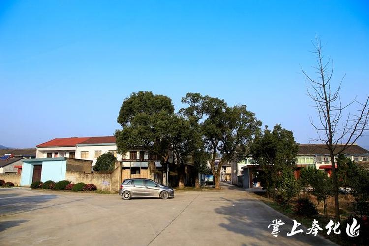 美丽乡村——莼湖镇岙口村