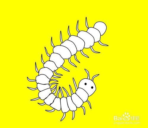 画蜈蚣的简笔画