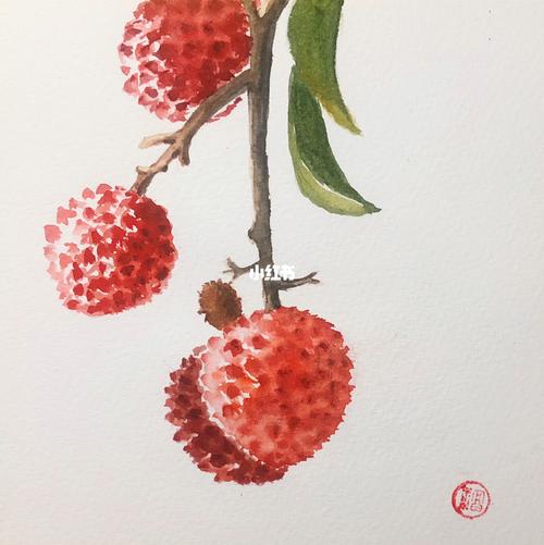 岭南荔枝_荔枝_水彩画_文化_绘画