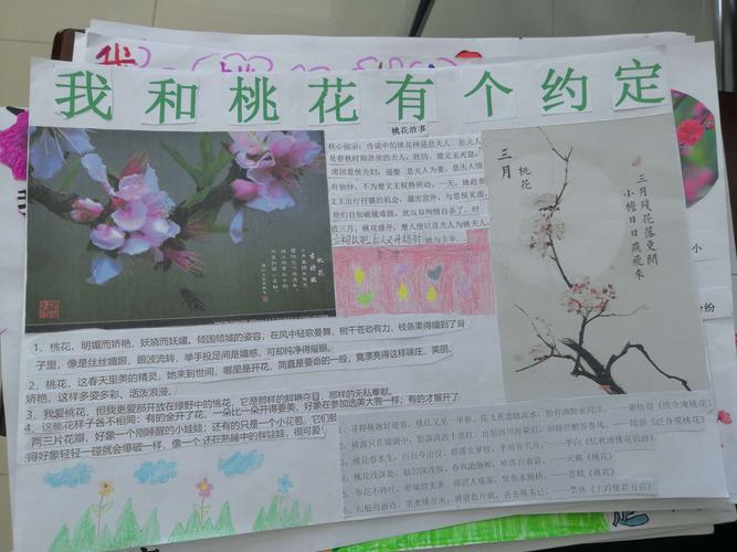 "我和桃花有个约会"锡市芳草小学二年级优秀手抄报展