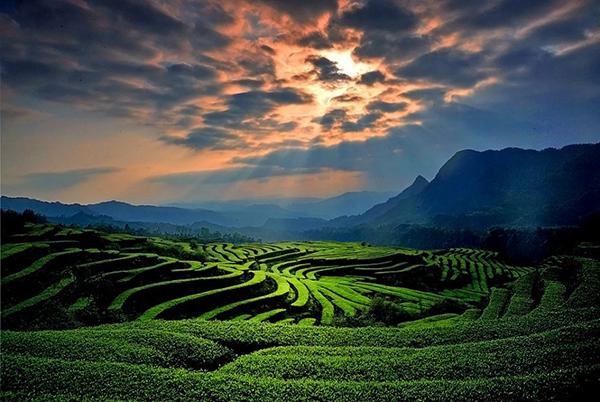 宜宾珙县:现代农业转型蝶变"风帆正起"