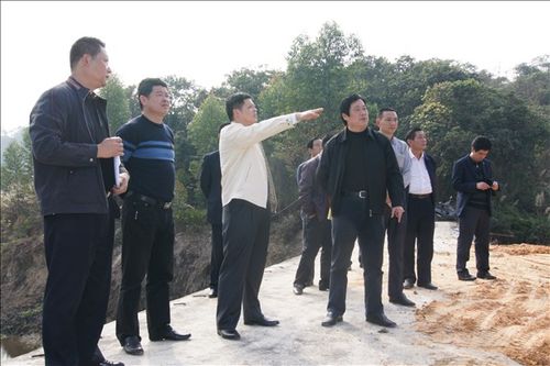 县委常委,纪委书记王健同志到五斗种垃圾填埋场和丰顺公园调研