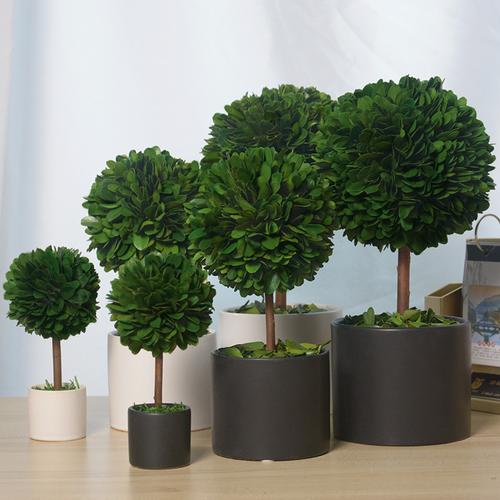 北欧绿植室内盆栽装饰盆景客厅花卉植物办公室电脑桌面摆件永生花