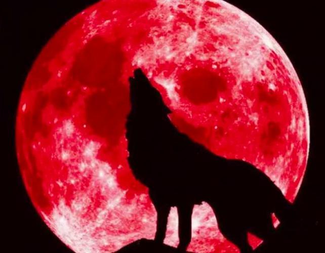 超级血狼月将现身加拿大最长满月错过再等三年