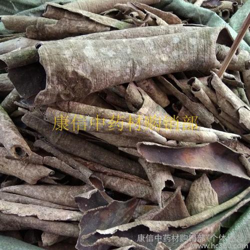 中药材 白银树皮,九层皮,白兰香,熊胆木产品,图片仅供参考,救必应 中