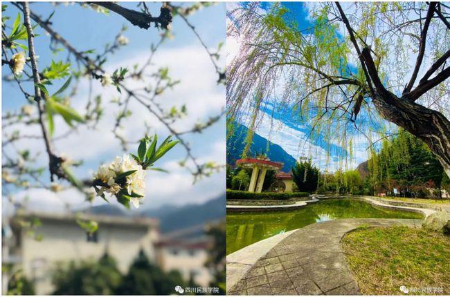 成都理工大学工程技术学院