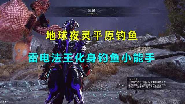 星际战甲:地球夜灵平原钓鱼,雷电法王化身钓鱼小能手