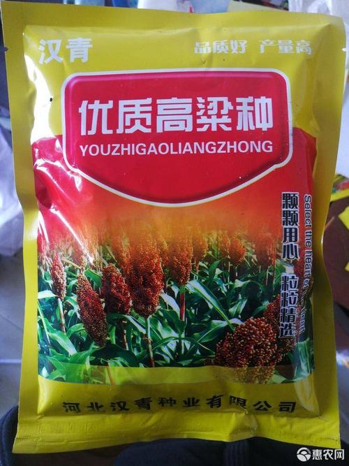 高粱种子 汉青糯2号