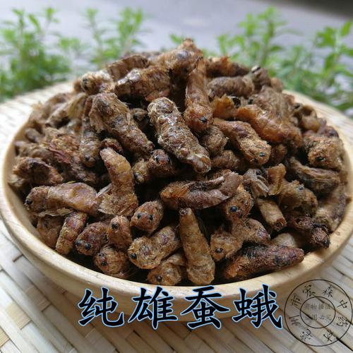 雄蚕蛾中药材蚕蛾酒原蚕蛾纯雄蚕蛾泡酒雄蚕蛾粉滋补加工成粉雄蚕蛾