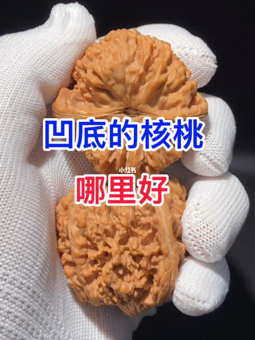 为什么受玩家追捧#文玩核桃  #精品文玩核桃  #小众野生文玩核桃