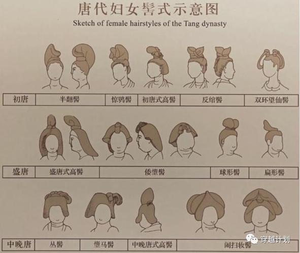 唐代妇女常用的发髻有:高髻,垂髻,乌蛮髻,坠马髻,闹扫妆髻,反绾髻,花