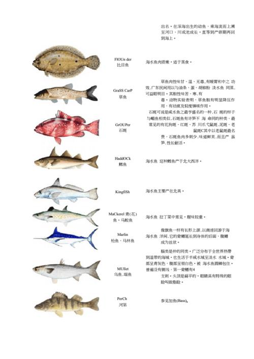 2021中英文动物海洋生物名称大全.docx 20页