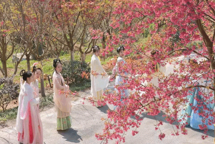 【长丰县|踏春宝地】【需提前两小时购票】万人樱花节